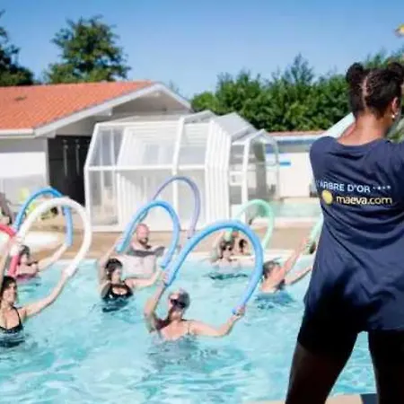 Camping 4 Etoiles - Piscine - Eebifb Parentis-en-Born